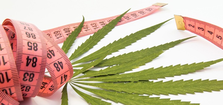 Does weed make you lose weight?