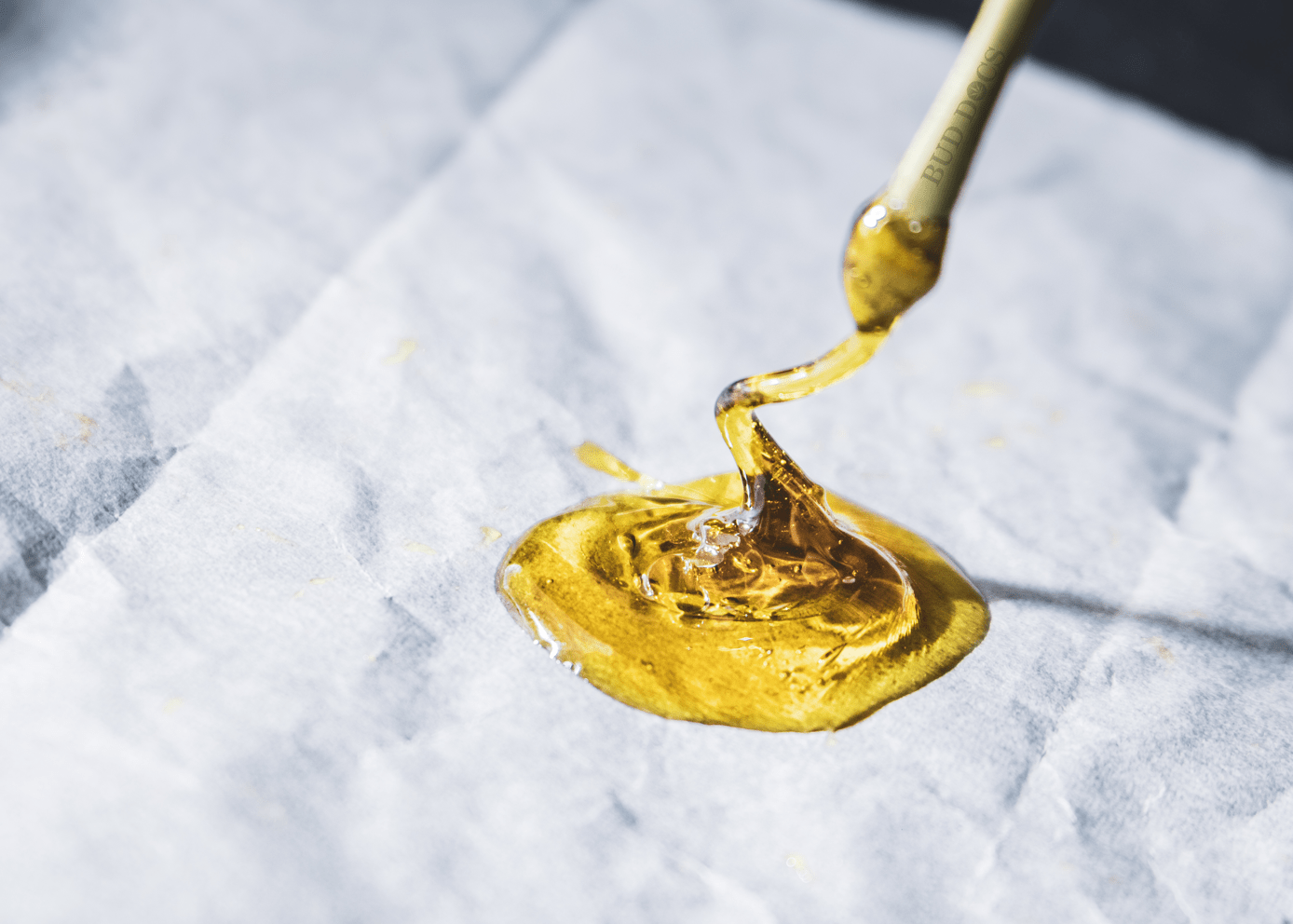 buddocs rosin