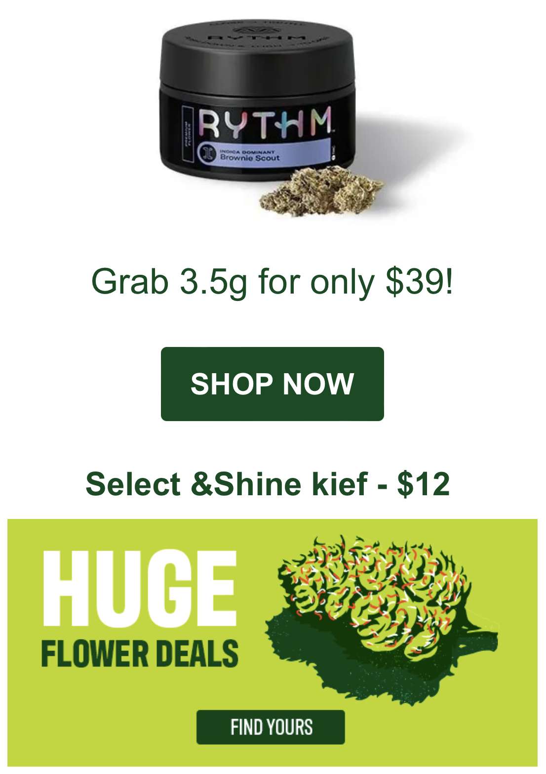 Rise | Latest Deals & Promotions | Florida Marijuana Dispensaries