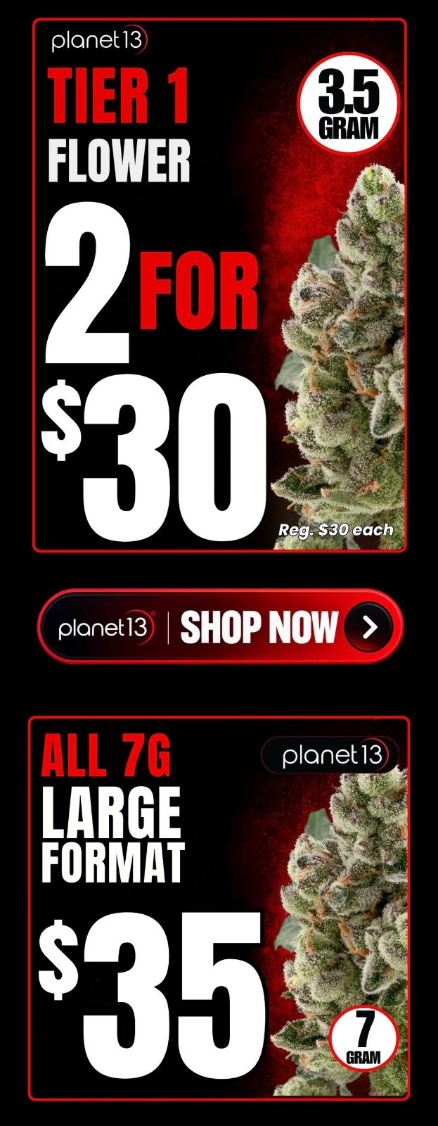 Planet 13