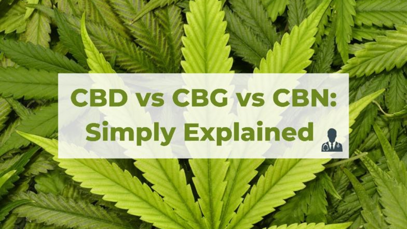 CBD Vs CBG Vs CBN: Simply Explained - BudDocs