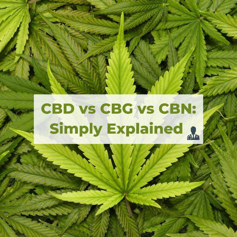 CBD vs CBG vs CBN: Simply Explained
