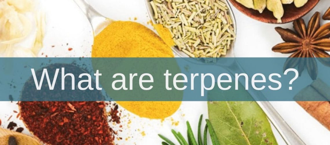 What are Cannabis Terpenes?