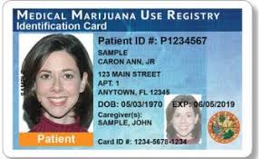 Renewing Your Mmj Card In Florida Is Easy Buddocs