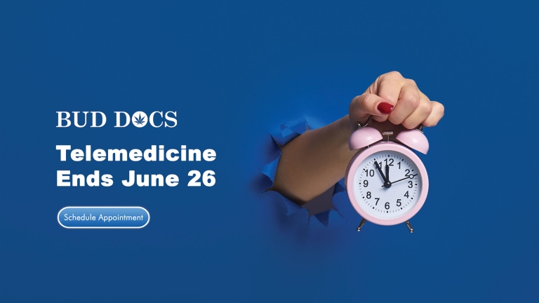 Medical Marijuana Telemedicine may be ending soon BudDocs