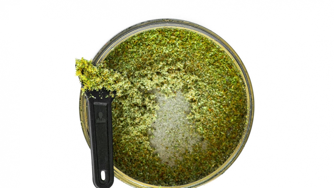 What is Cannabis Kief? Where to buy Kief | BudDocs