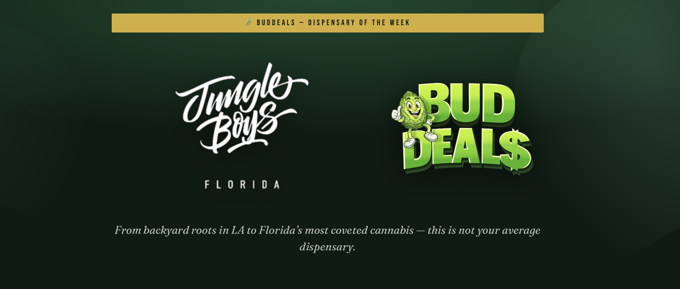 Dispensary of the Week: Jungle Boys